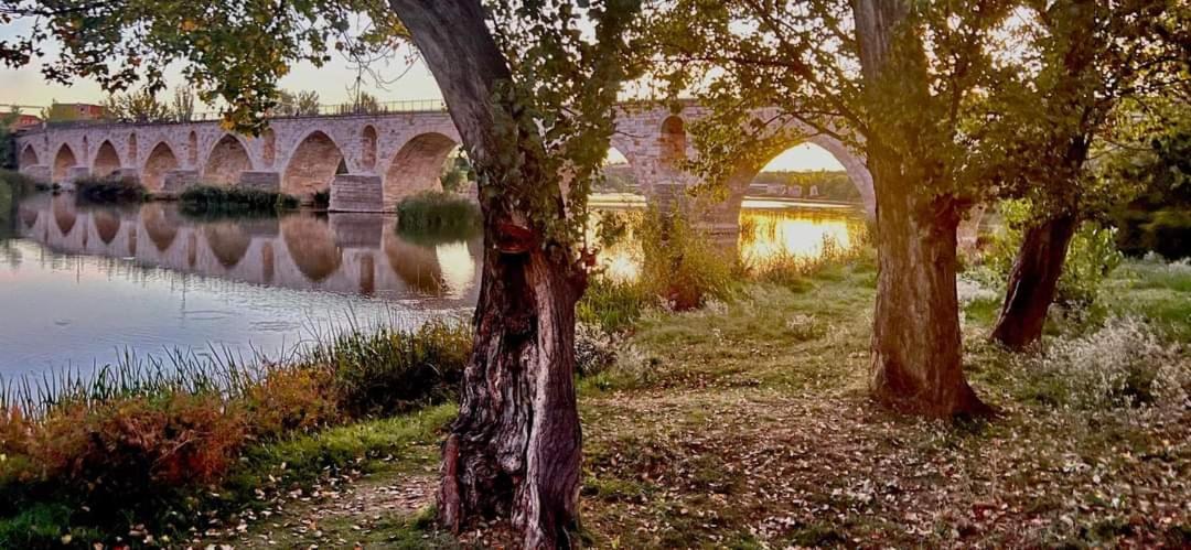 Апартаменты A Los Ojos Del Rio Duero Самора Экстерьер фото